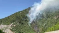 Bursa’da ormanlık alanda yangın