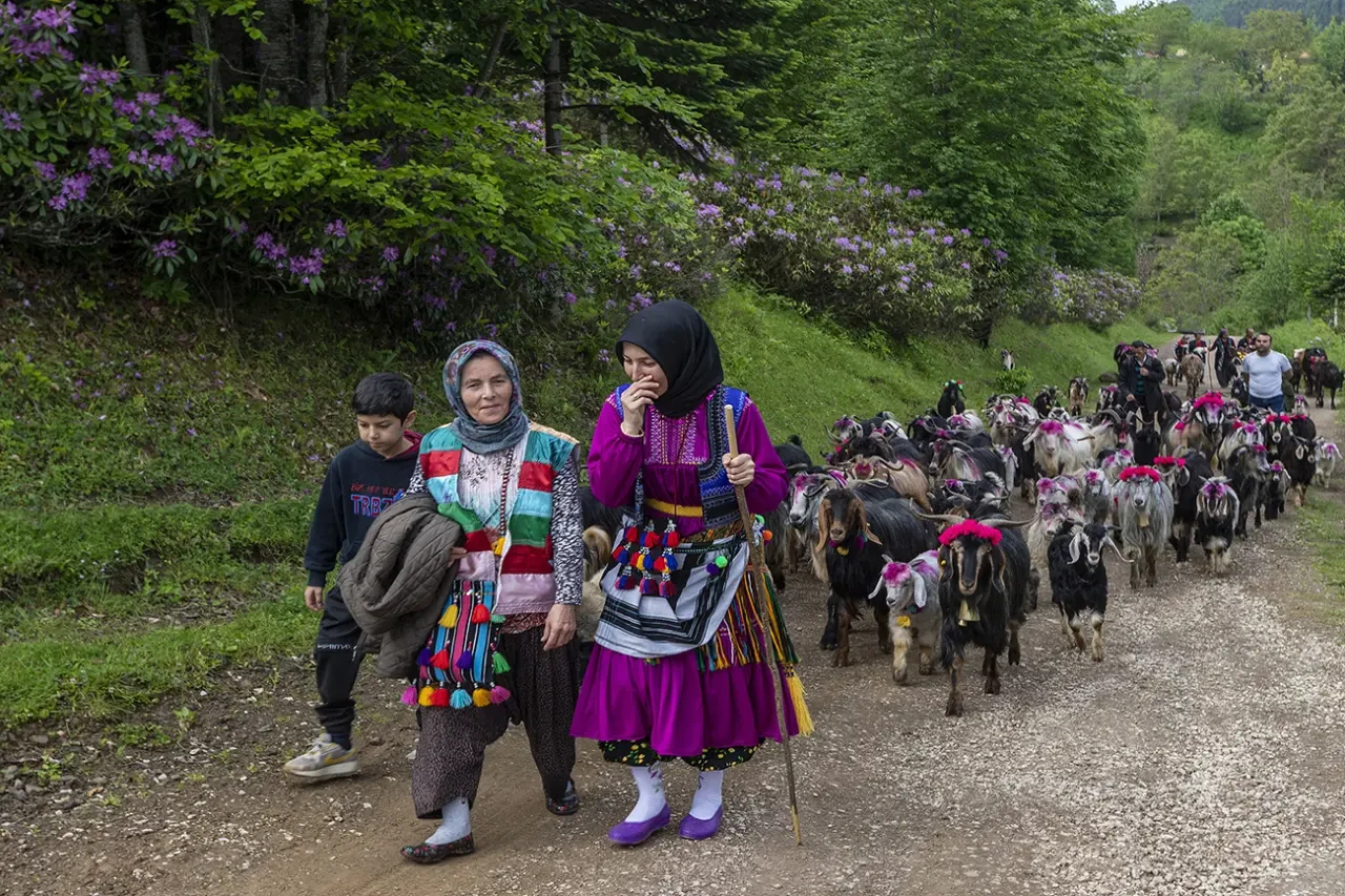 Sakarya Fotoğraf Yarışması'nda En İyi Kareler Sergilendi, Ödüller Sahiplerini Buldu 15