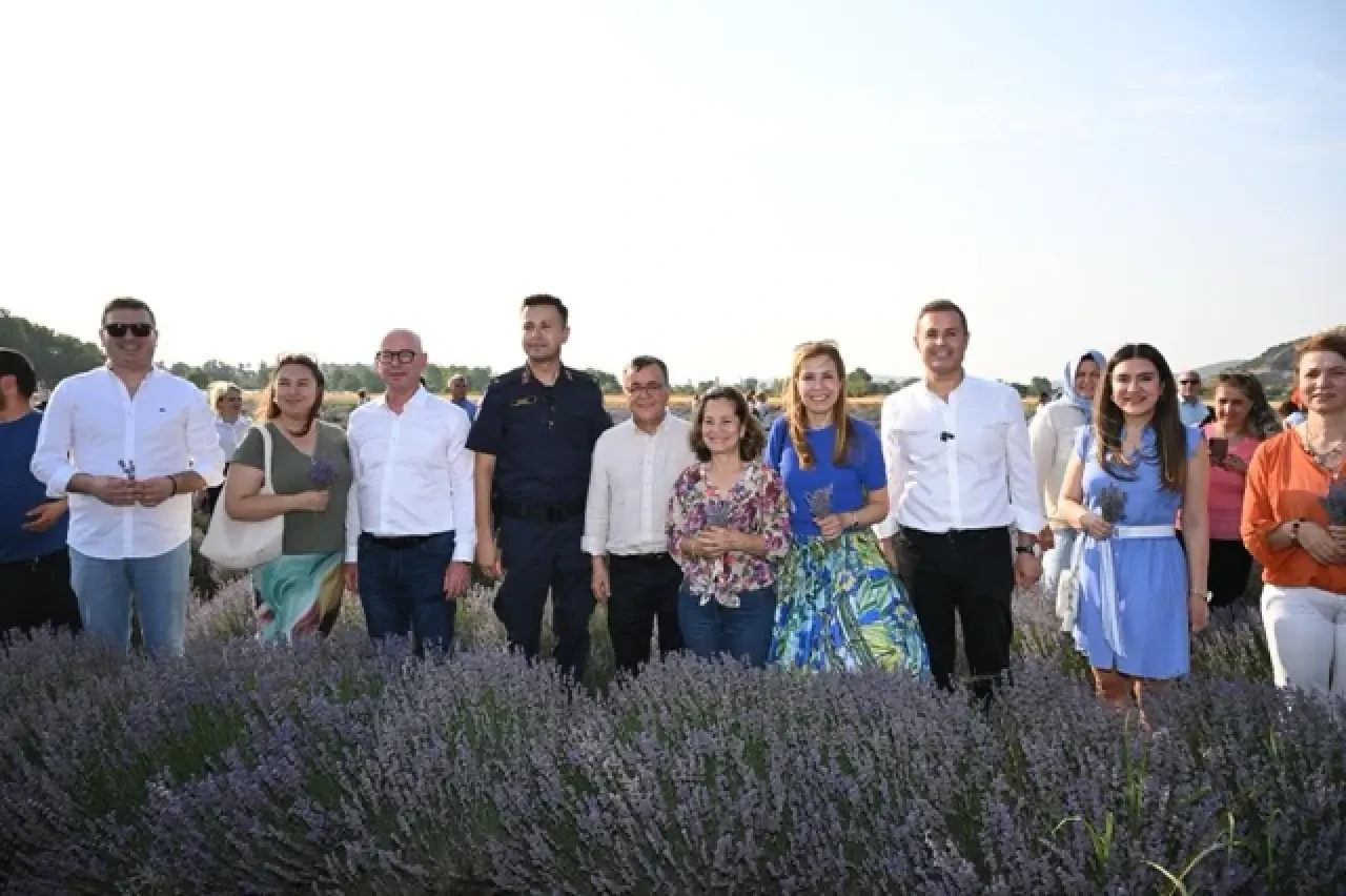 Lavanta Günlerine olan ilgi her yıl artıyor 4