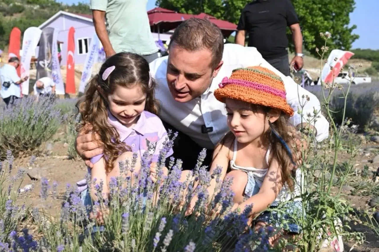 Lavanta Günlerine olan ilgi her yıl artıyor 8
