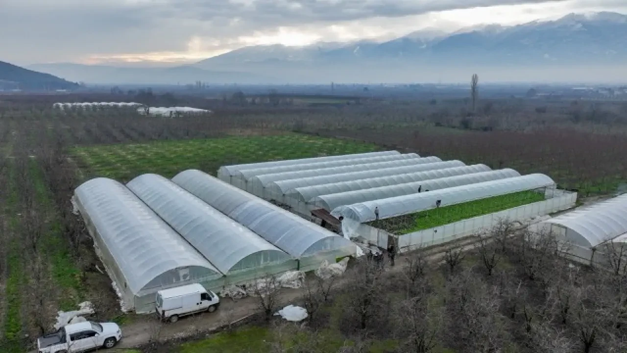 Lodostan zarar gören seralara Büyükşehir desteği 6