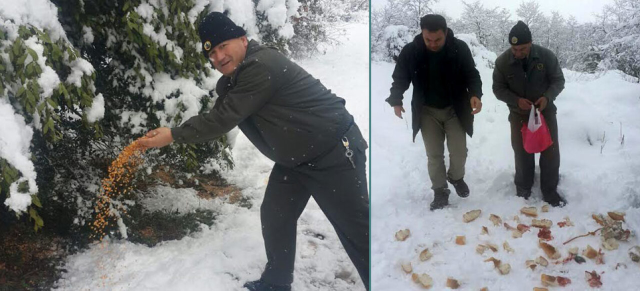 Kaynarca Orman Bölge, aç kalan yaban hayvanlarını unutmadı