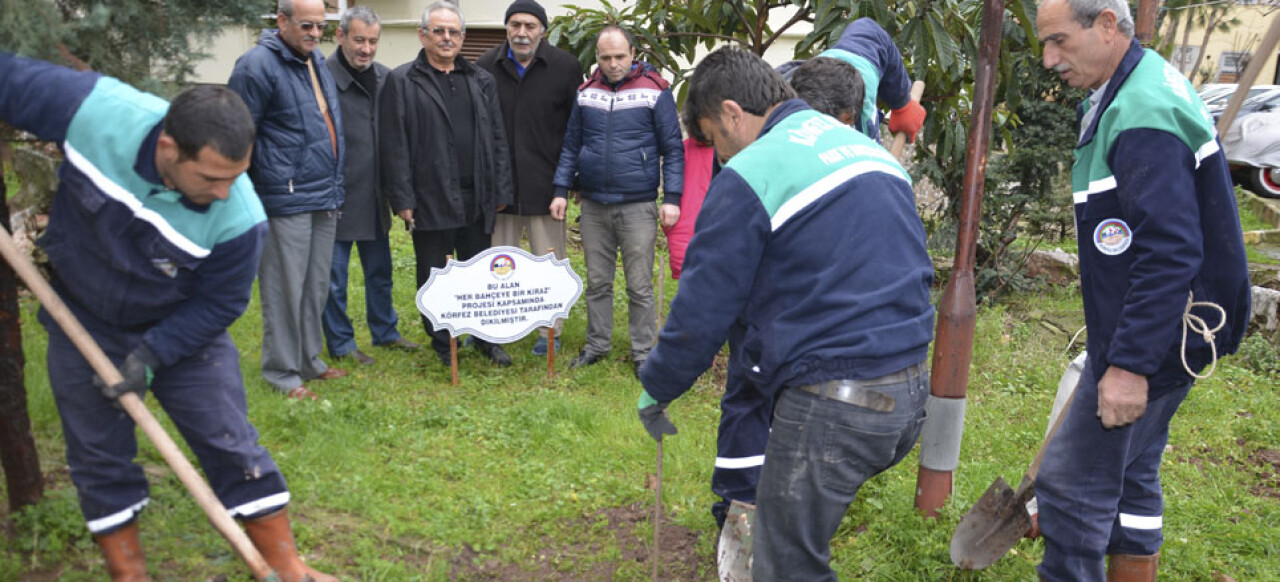 Kirazlar Toprakla Buluştu