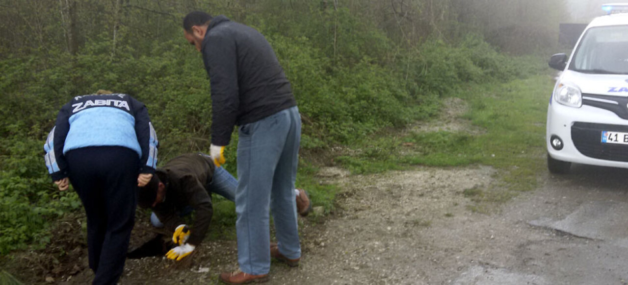 Kartepe Zabıtası logara düşen sokak köpeğini kurtardı