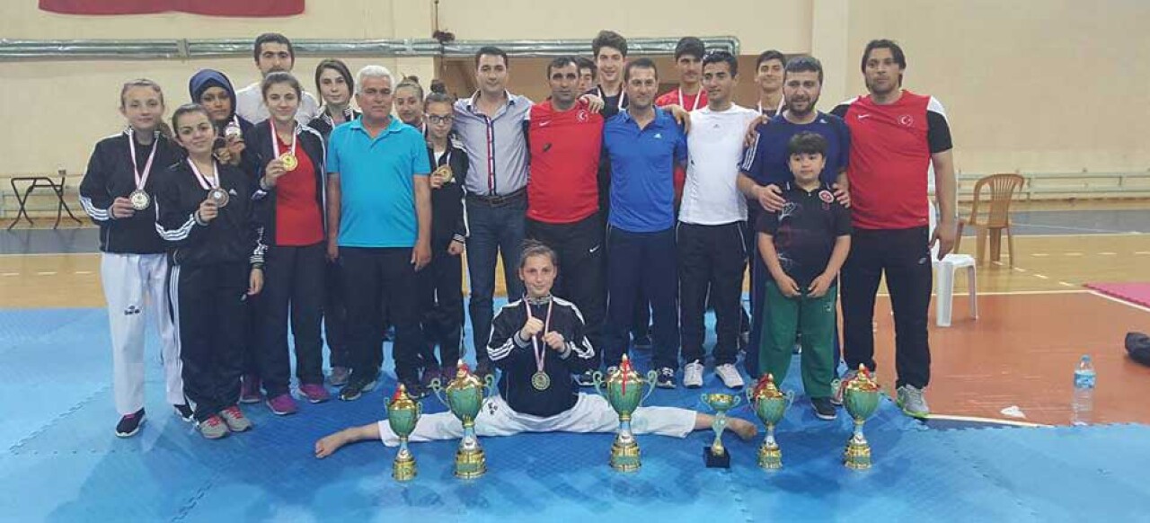 İllerarası Taek-Wondo Turnuvası Sakarya'da yapıldı