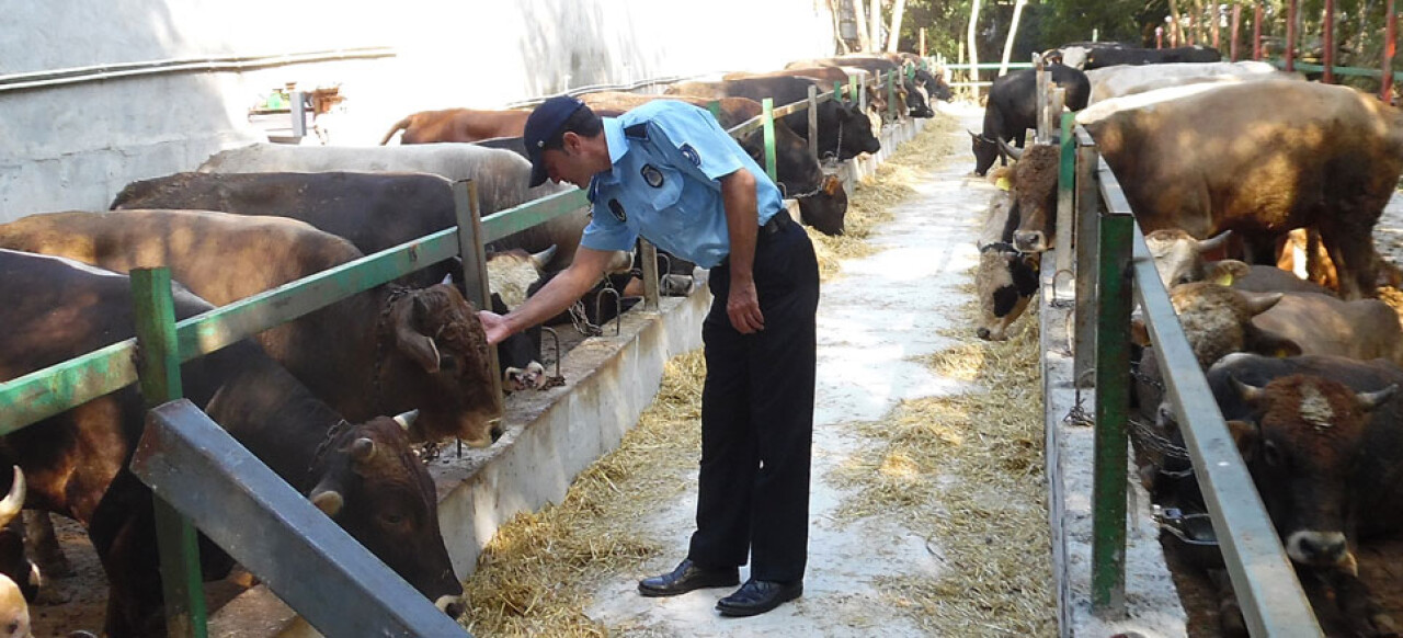 Kartepe’de Kurban satış ve kesim yerleri denetlendi