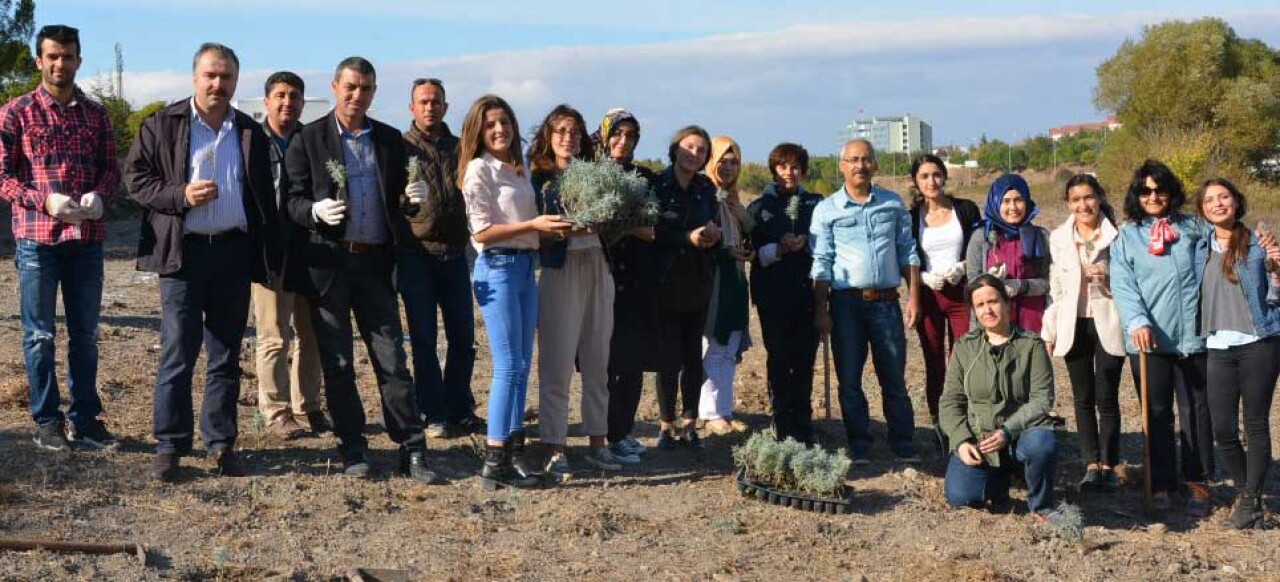 BAÜN Botanik Bahçesinde 300 Lavanta Fidanı Toprakla Buluştu