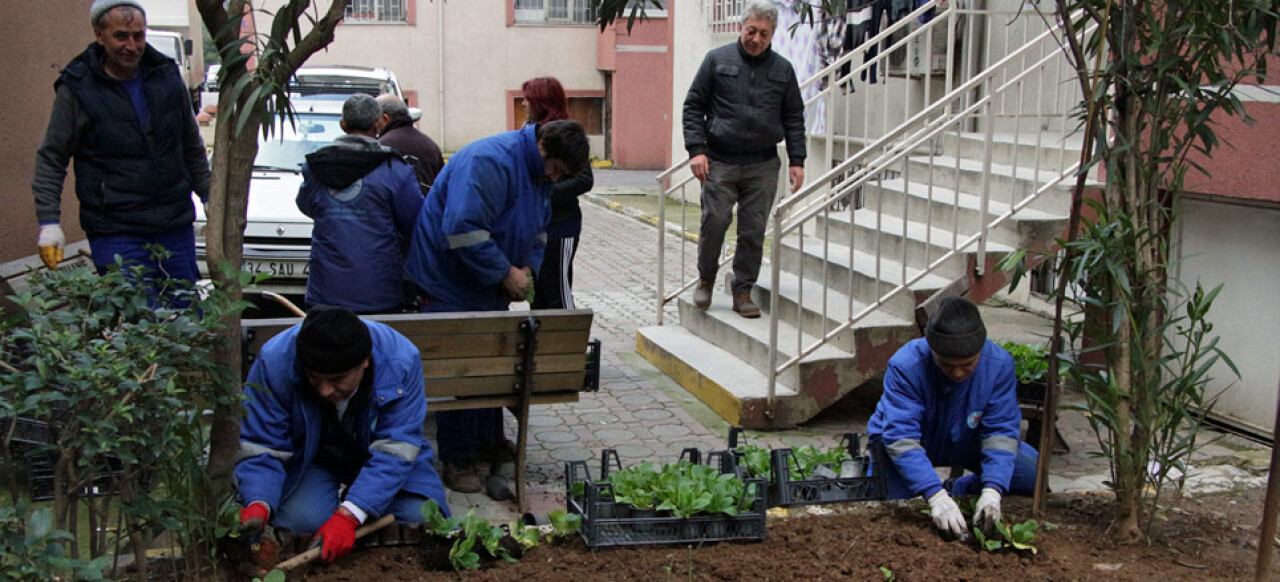 Kağıthane'de site bahçelerinin kışlık bakımları yapıldı