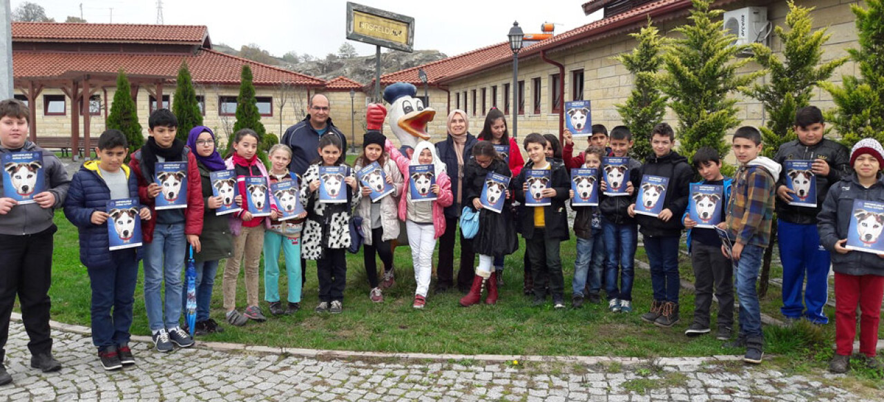 2016’da bin 10 sokak hayvanının sıcak yuvası oldu