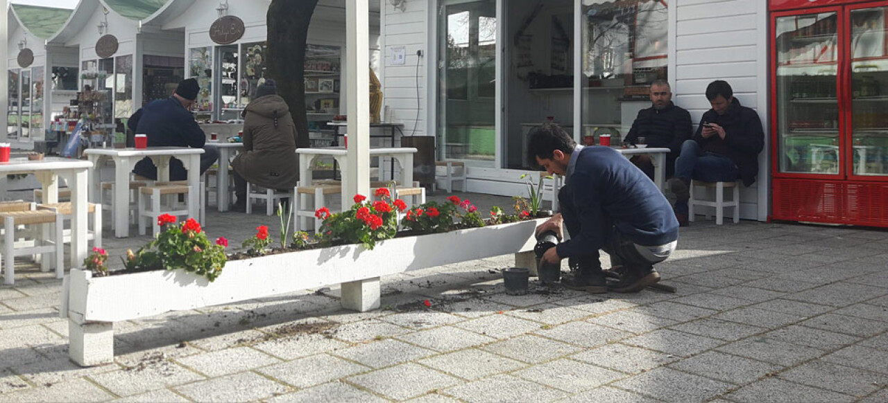 SAÜ'lü Öğrenciler Sanat Sokağı’nı Çiçeklerle Donattı