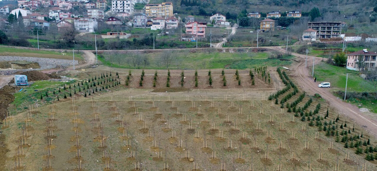 Kocaeli'nde 40 bin metrekare alan ağaçlandırıldı