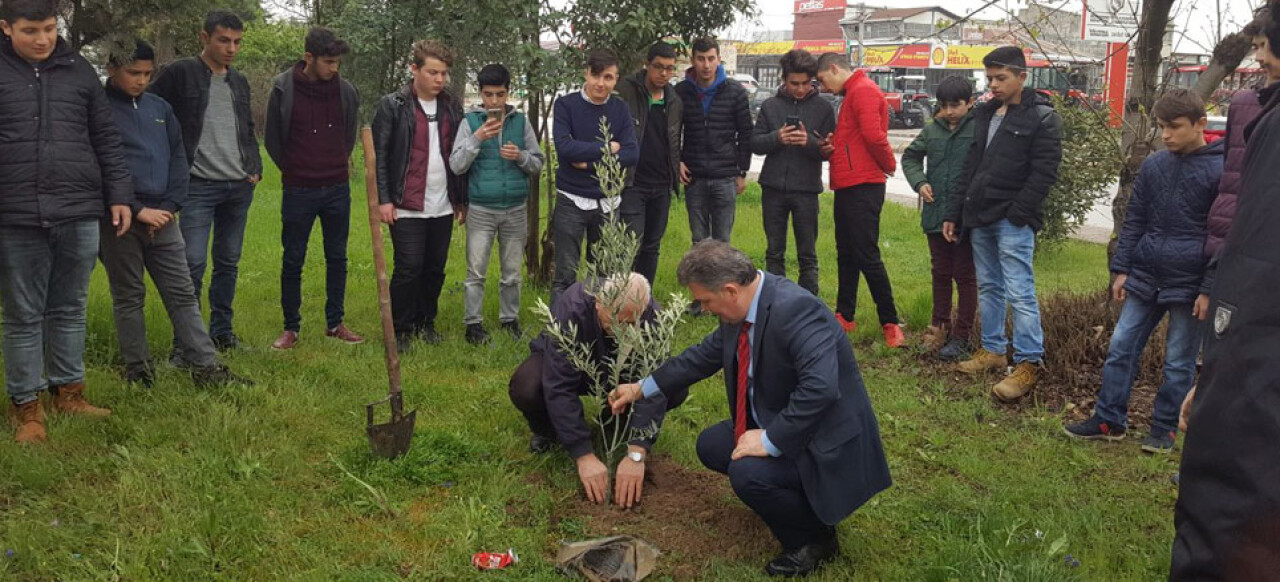 Okullarda Zeytin Fidanı Dikme Harekatı