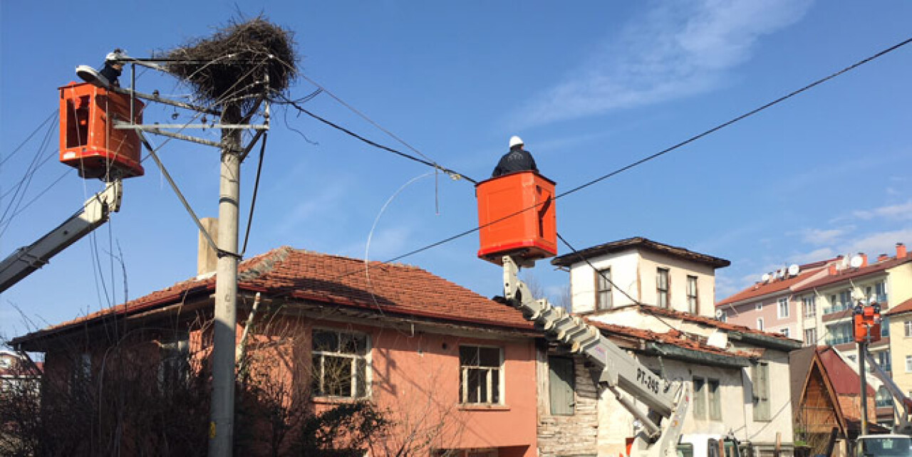 SEDAŞ'tan Leylek yuvası için titiz çalışma