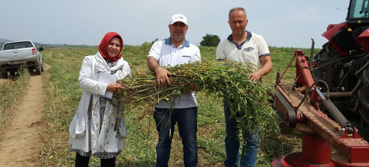 Kocaeli Büyükşehir’in tohum desteği ile verim arttı