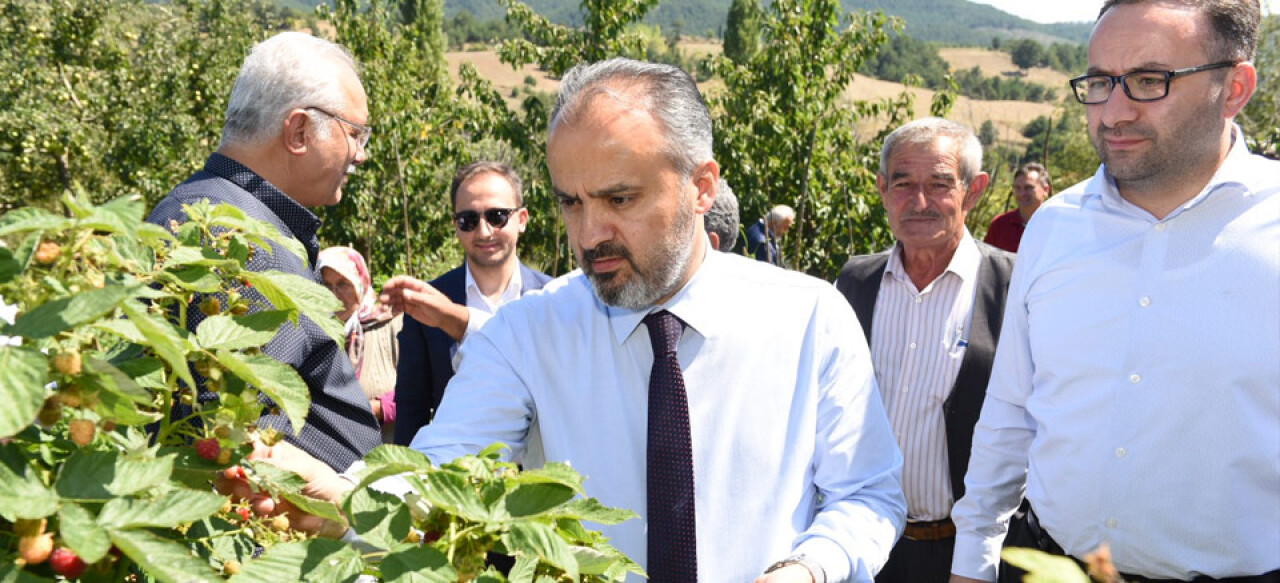 Dağ yöresinde hasat zamanı