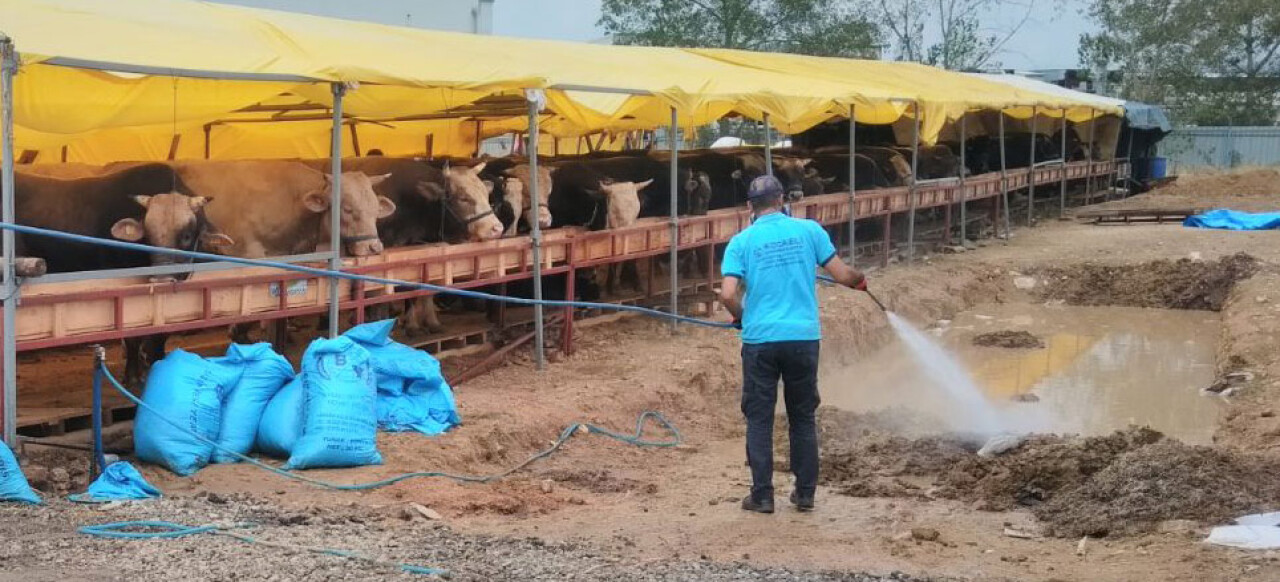 Kocaeli'nde kurban satış yerleri ilaçlandı