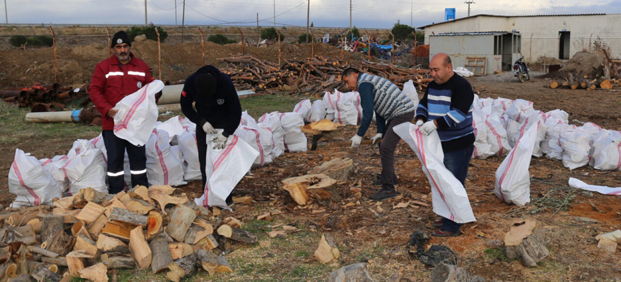 Burhaniye Belediyesi Odun Dağıtımına Başlıyor