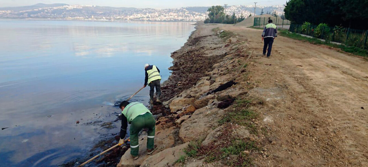 Sahillerden 12 kamyon çöp temizlendi 