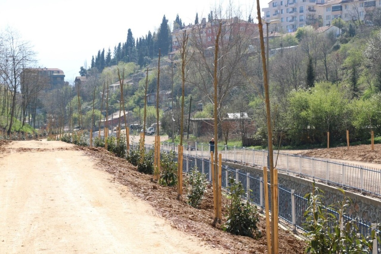 Cımbızdere Vadisi’nde 11 bin 400 metrekarelik alan ağaçlandırıldı