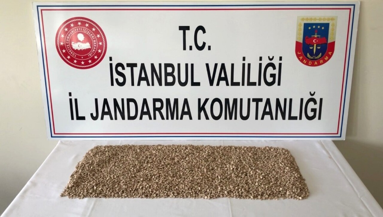 Jandarmadan uyuşturucu operasyonu