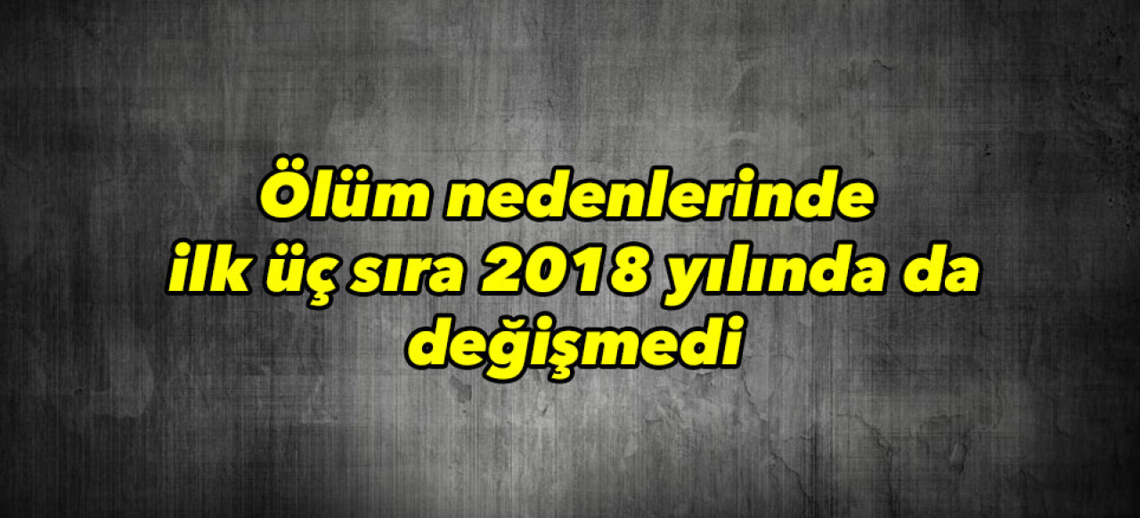 Dolaşım sistemi hastalıklarından kaynaklı ölümler, 161 bin 920 oldu. 