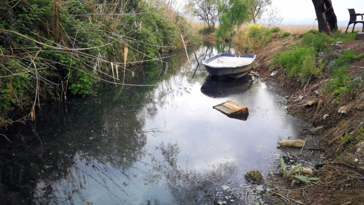 İznik’te çevre felaketi yaşanıyor