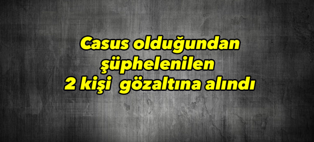 Casus olduğundan şüphelenilen 2 kişi gözaltına alındı