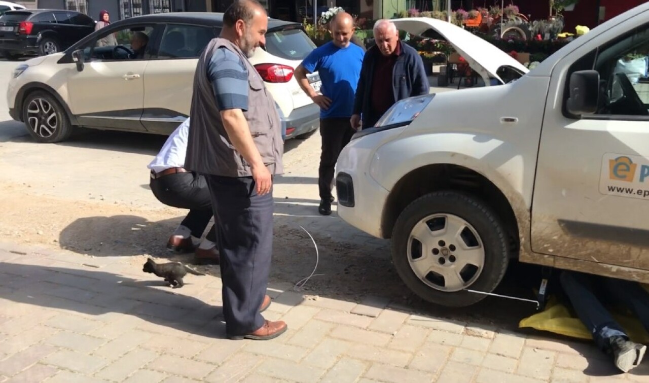 Motora sıkışan yavru kediyi PTT çalışanları kurtardı