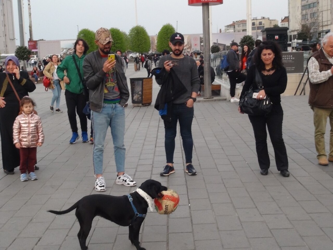 (Özel) Taksim’de hünerlerini sergileyen köpek, vatandaşların ilgi odağı oldu