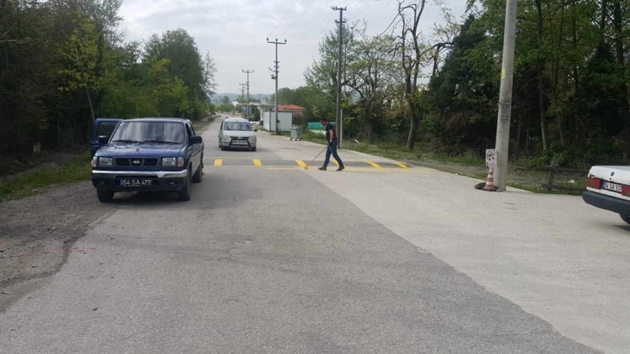 Sapanca sokaklarına bahar bakımı