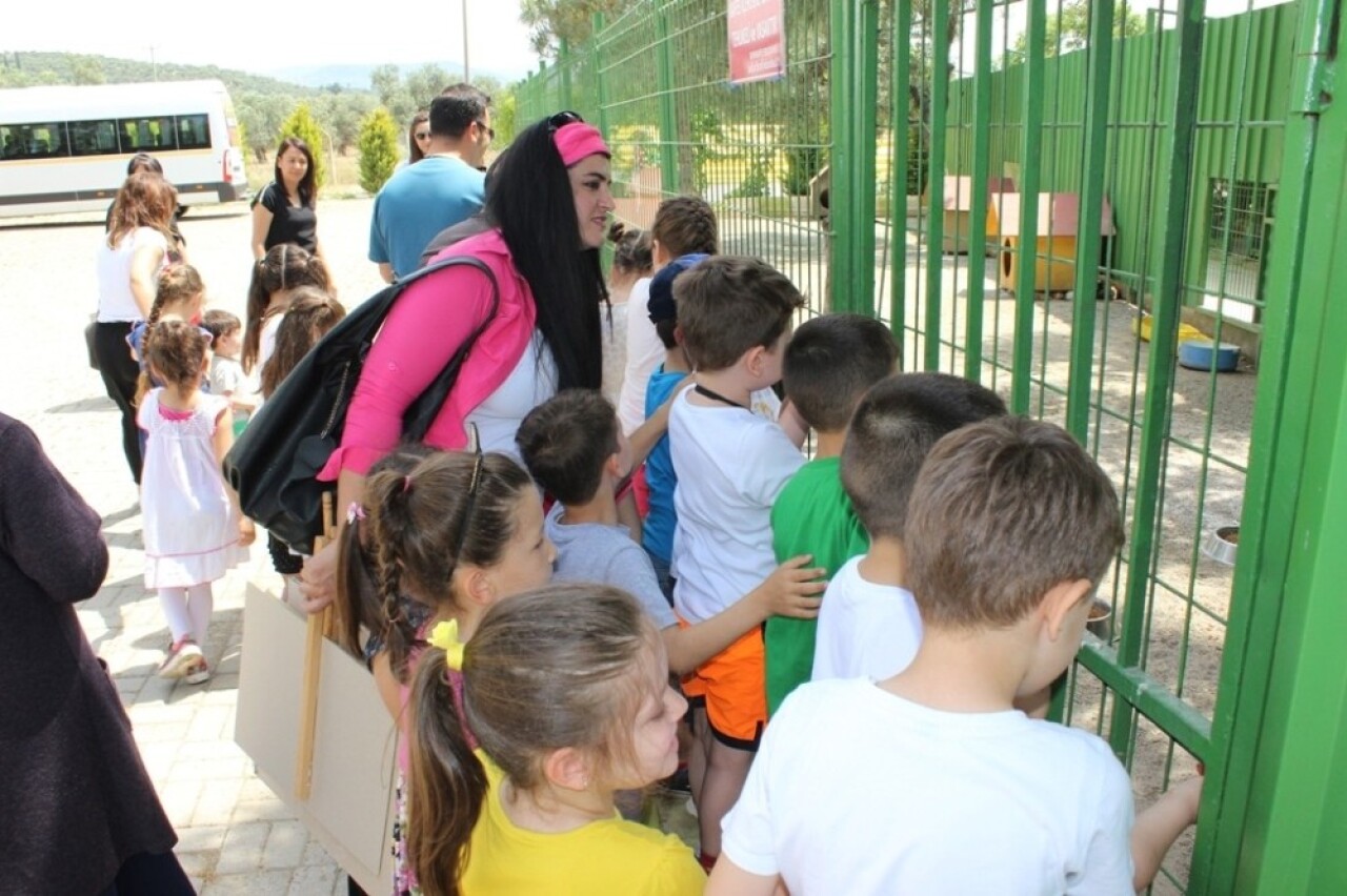 Anaokulu öğrencileri sokak hayvanları barınağını ziyaret etti