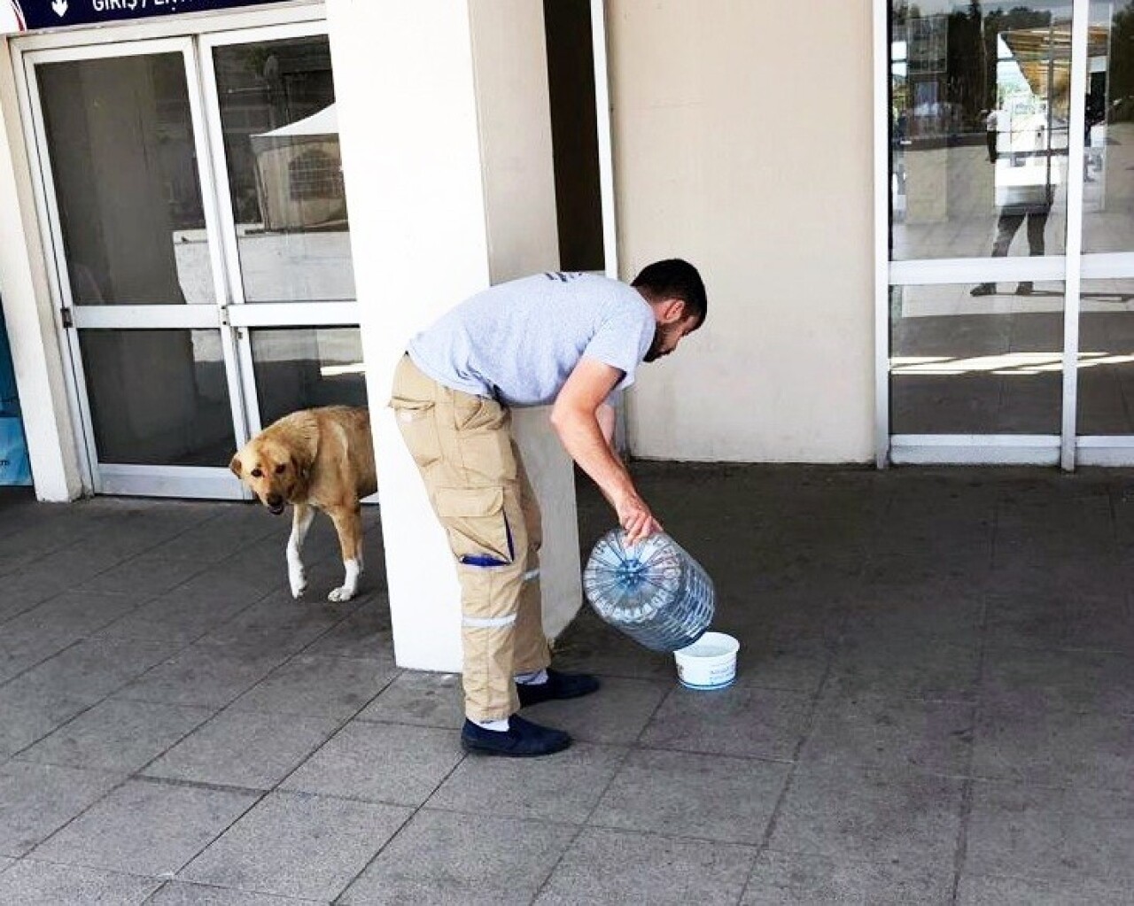 Başkan Işıksu: "Sahipsiz hayvanlarımız susuz kalmasın"