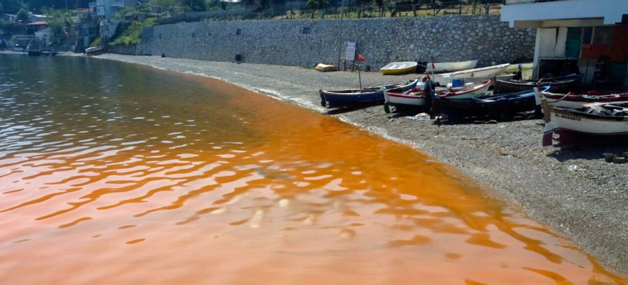 Bursa’da deniz kızıla boyandı, uzmanlar açıkladı: