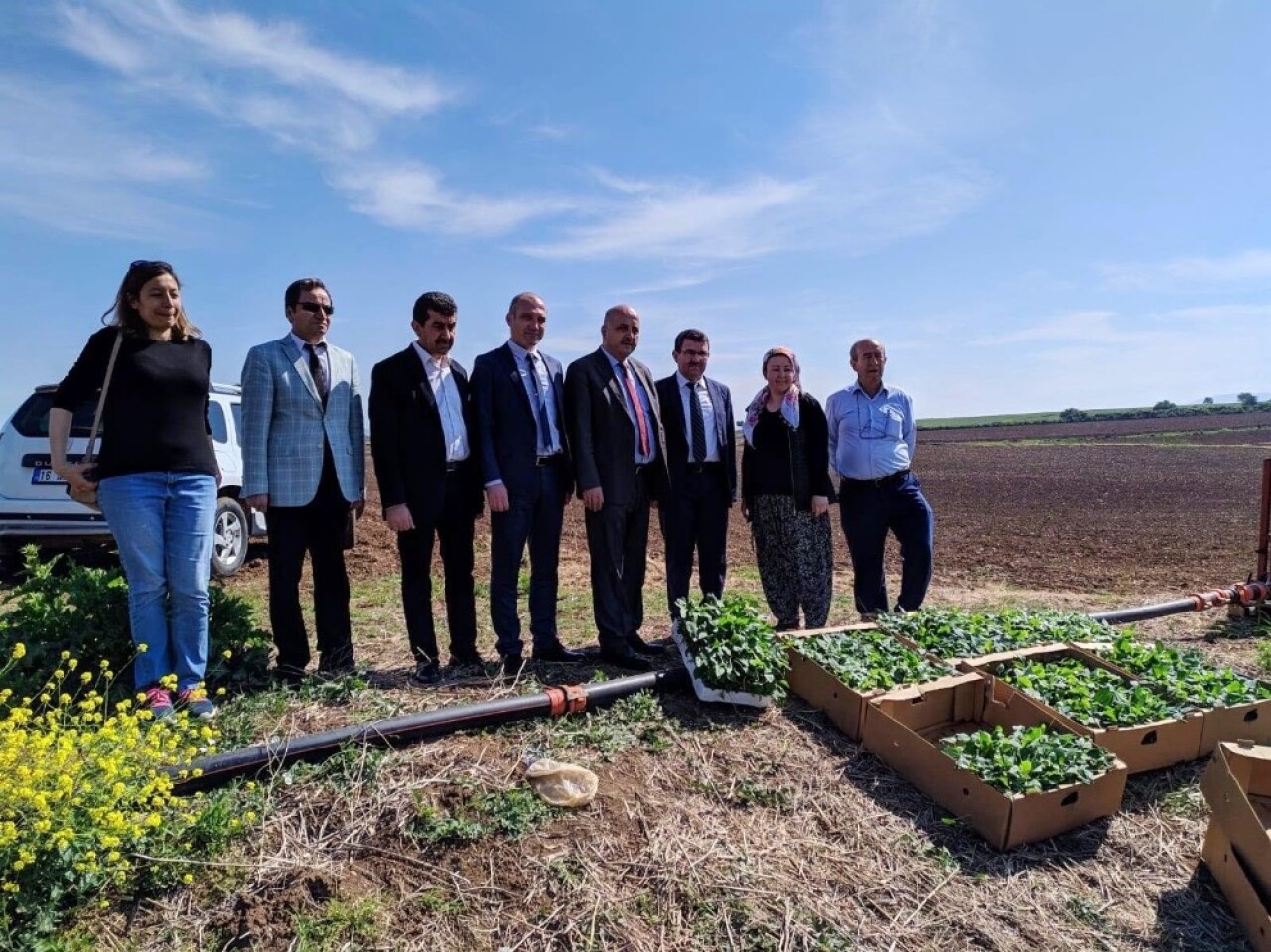 Bursa’da ilk kez Karacabey’de yetiştirilecek