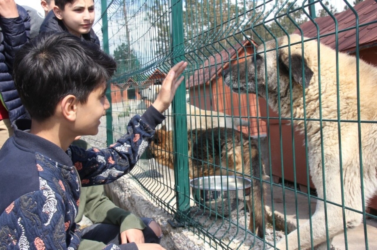 İBB’den çocuklara sosyal sorumluluk eğitimleri