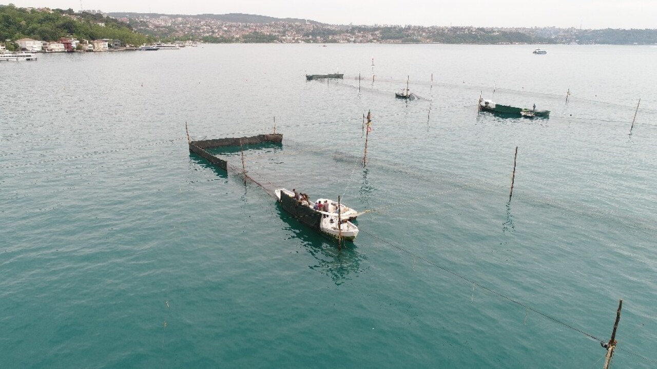 İstanbul’un son dalyanı havadan görüntülendi