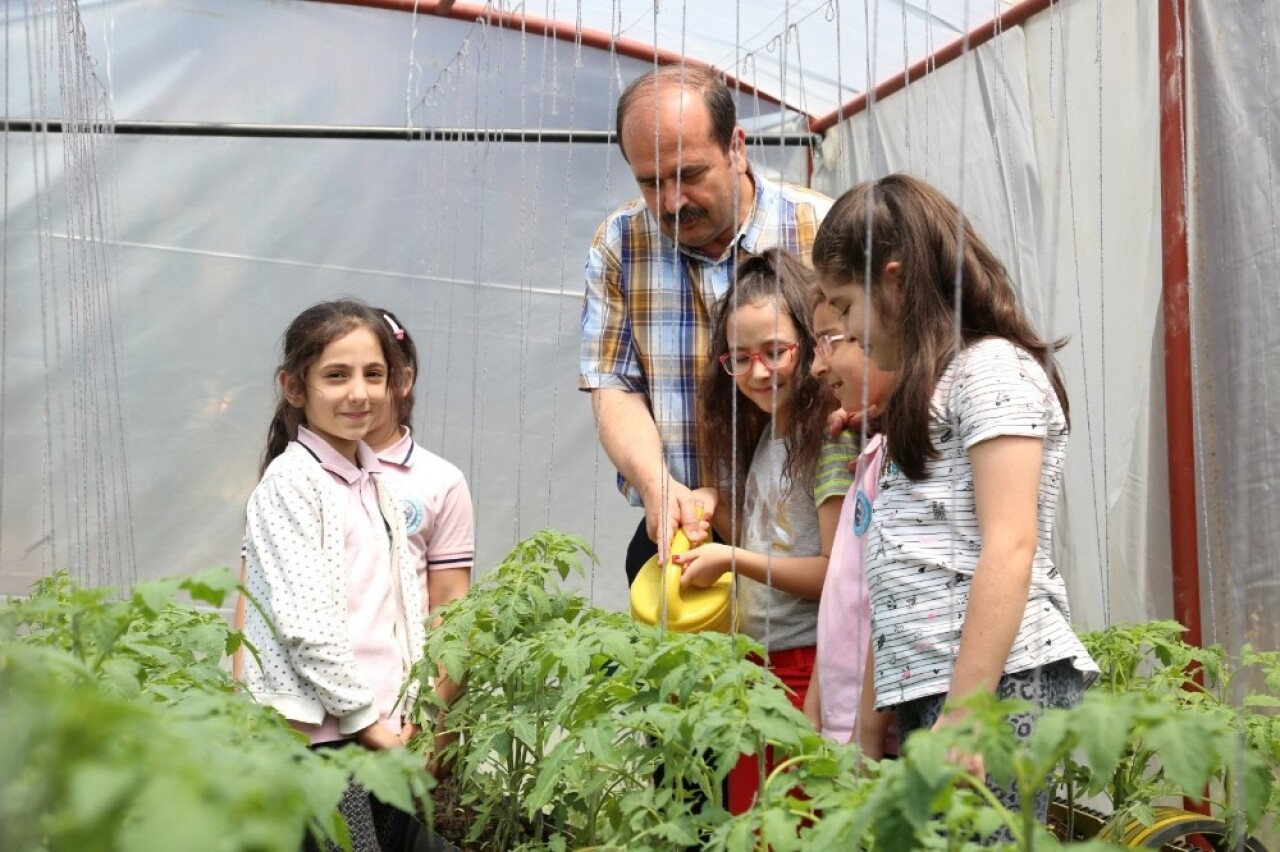 Kocaeli’de okul bahçesine kurulan seralar minik öğrencileri toprakla tanıştırıyor