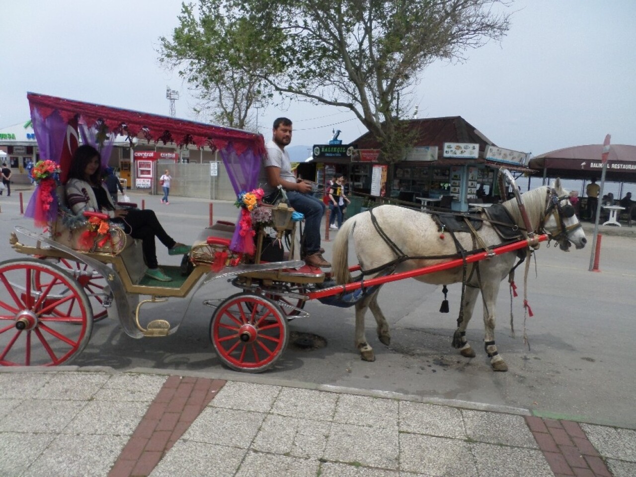 Mudanya’da faytoncular sezonu açtı