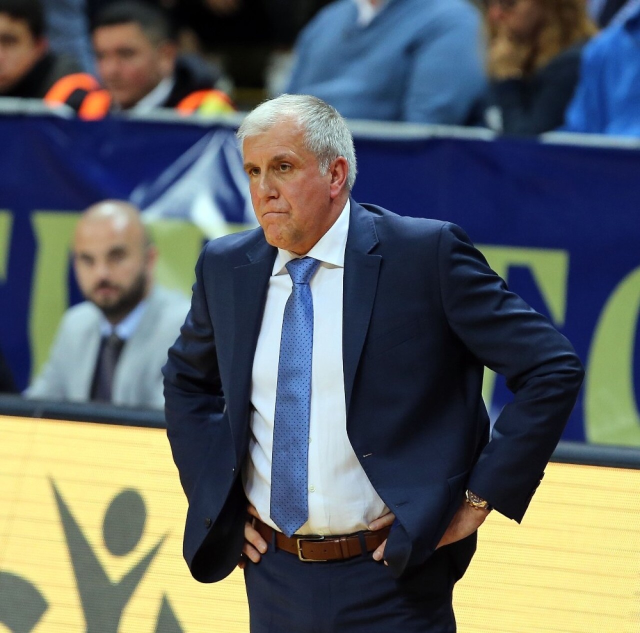 Obradovic 10. zaferin, Ataman ise bir ilkin peşinde