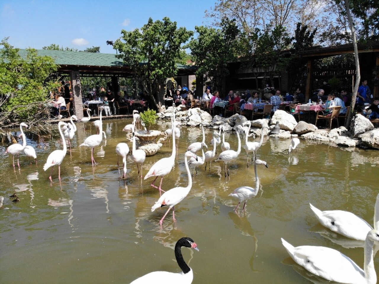 "Flamingolu Köy" Anneler Günü’nde ziyaretçi akınına uğradı