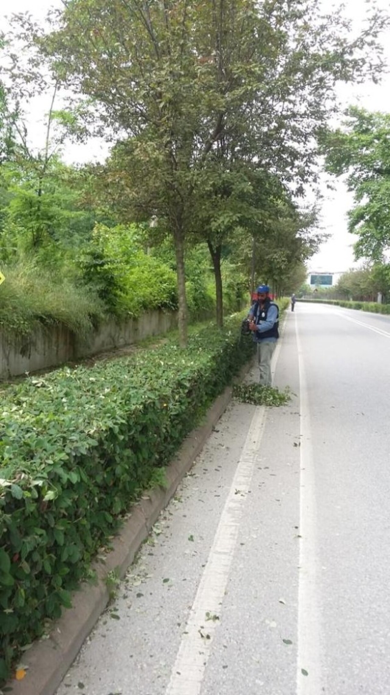 Sapanca yaza hazırlanıyor