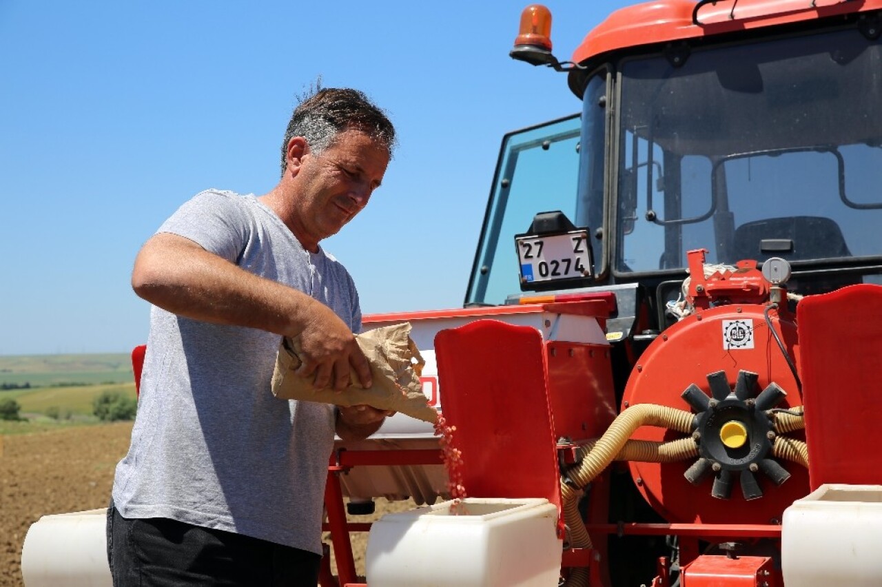 Silivri’de “Milli Tarım Yerli Tohum Deneme Ekimleri” devam ediyor