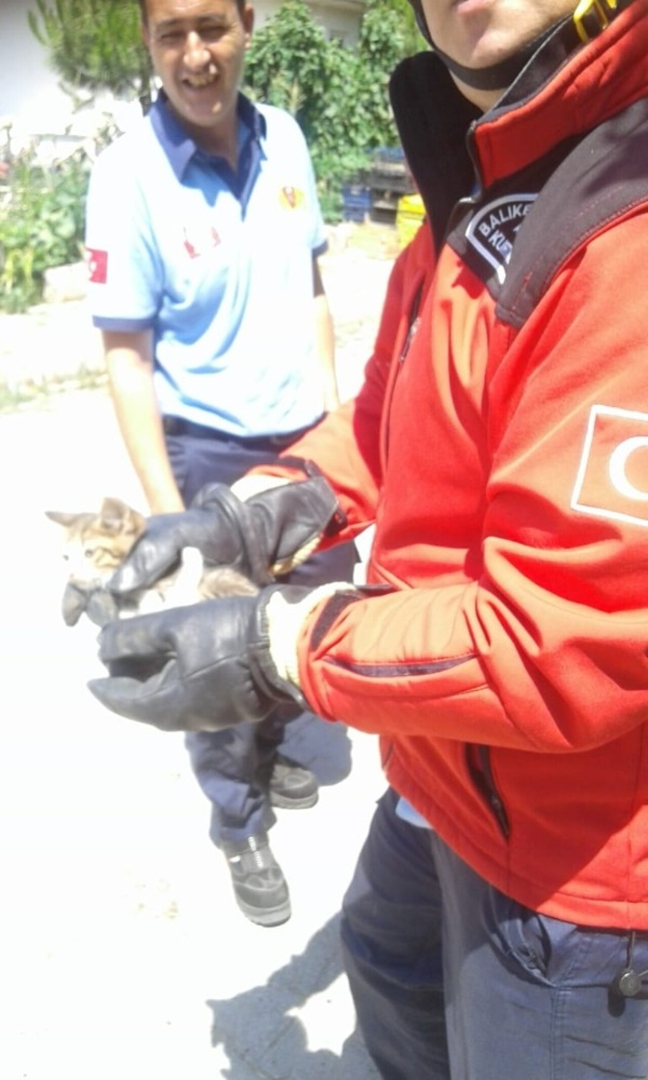 Aracın motoruna giren kedi yavrusunu itfaiye kurtardı