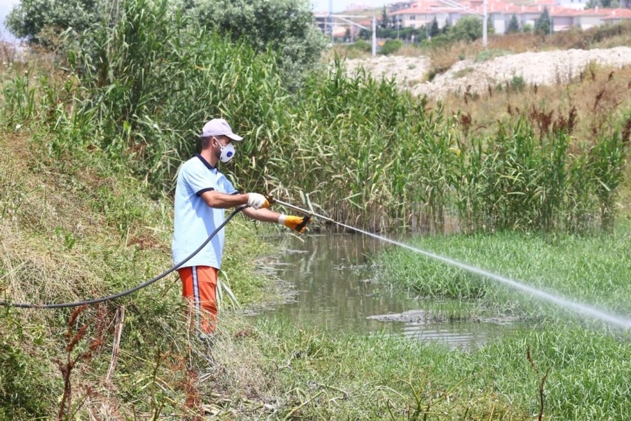 Başakşehir’de çevreye duyarlı sivrisinek mücadelesi