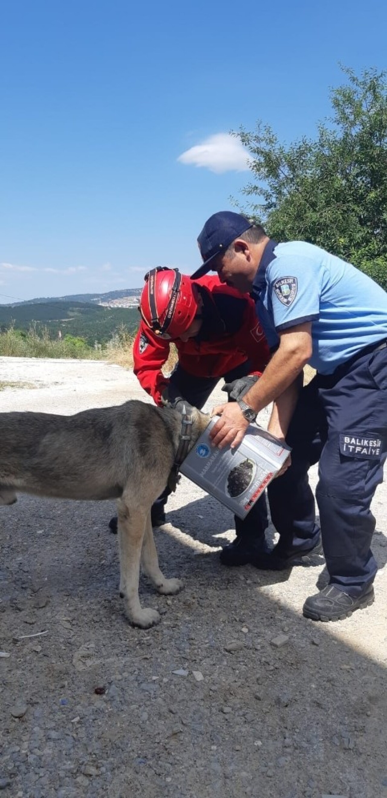 Başına teneke sıkışan köpeği itfaiye kurtardı