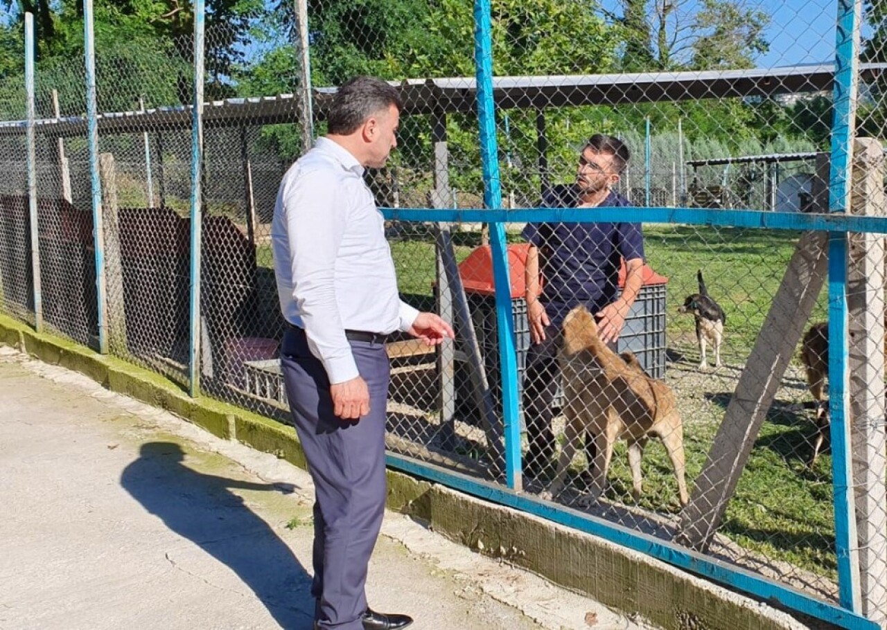 Başkan Özen, hayvan barınağını ziyaret etti