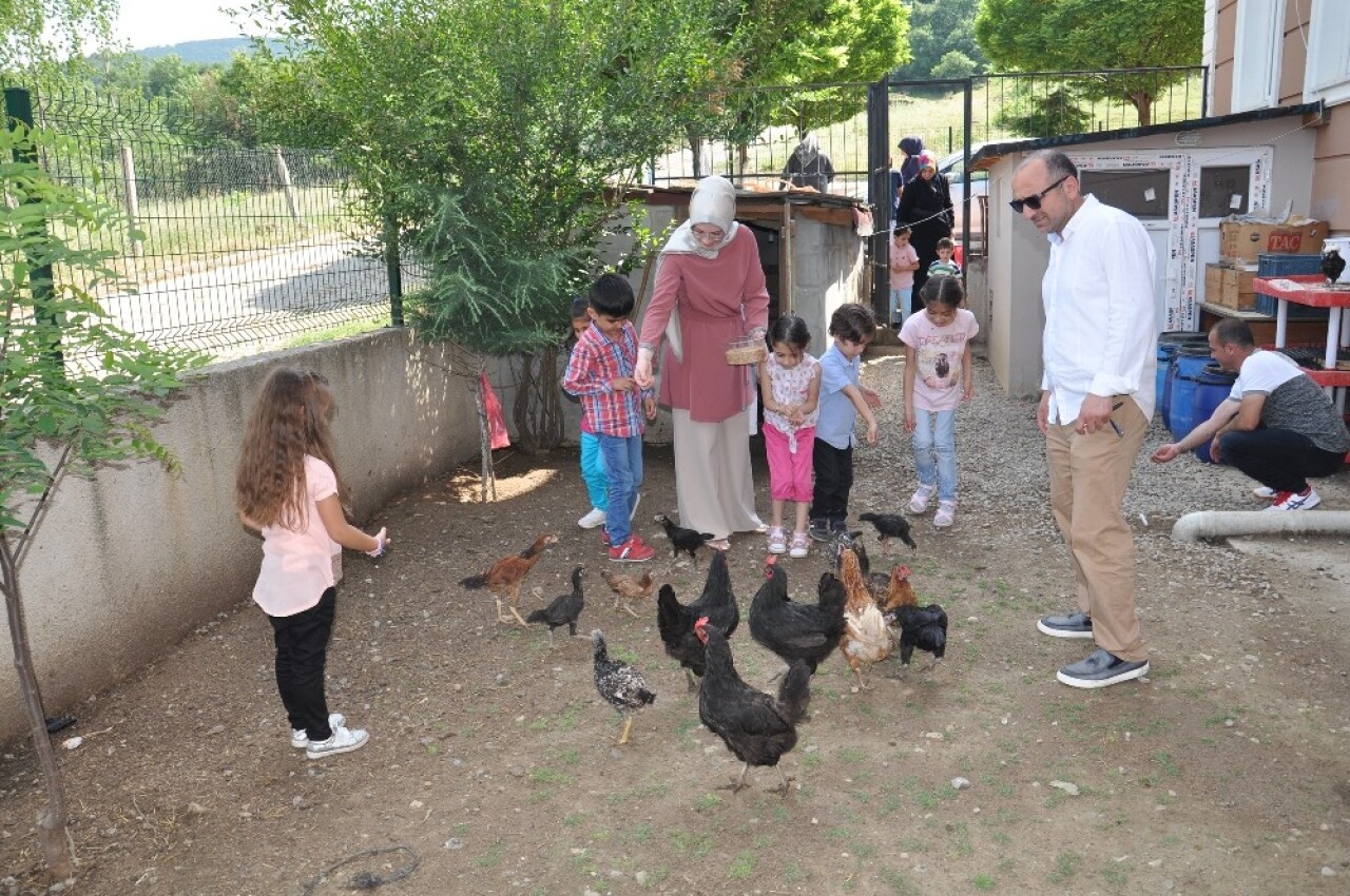 Bu okul diğerlerinden çok farklı