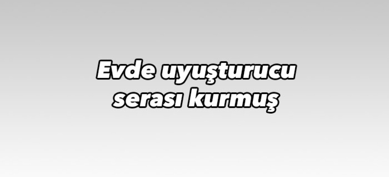 Evde uyuşturucu serası kurdu