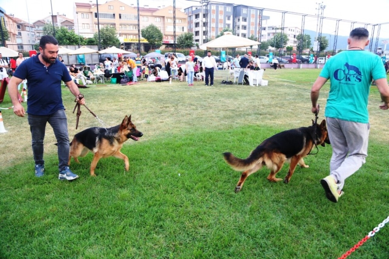 Farklı köpek ırkları Nilüfer’de buluştu