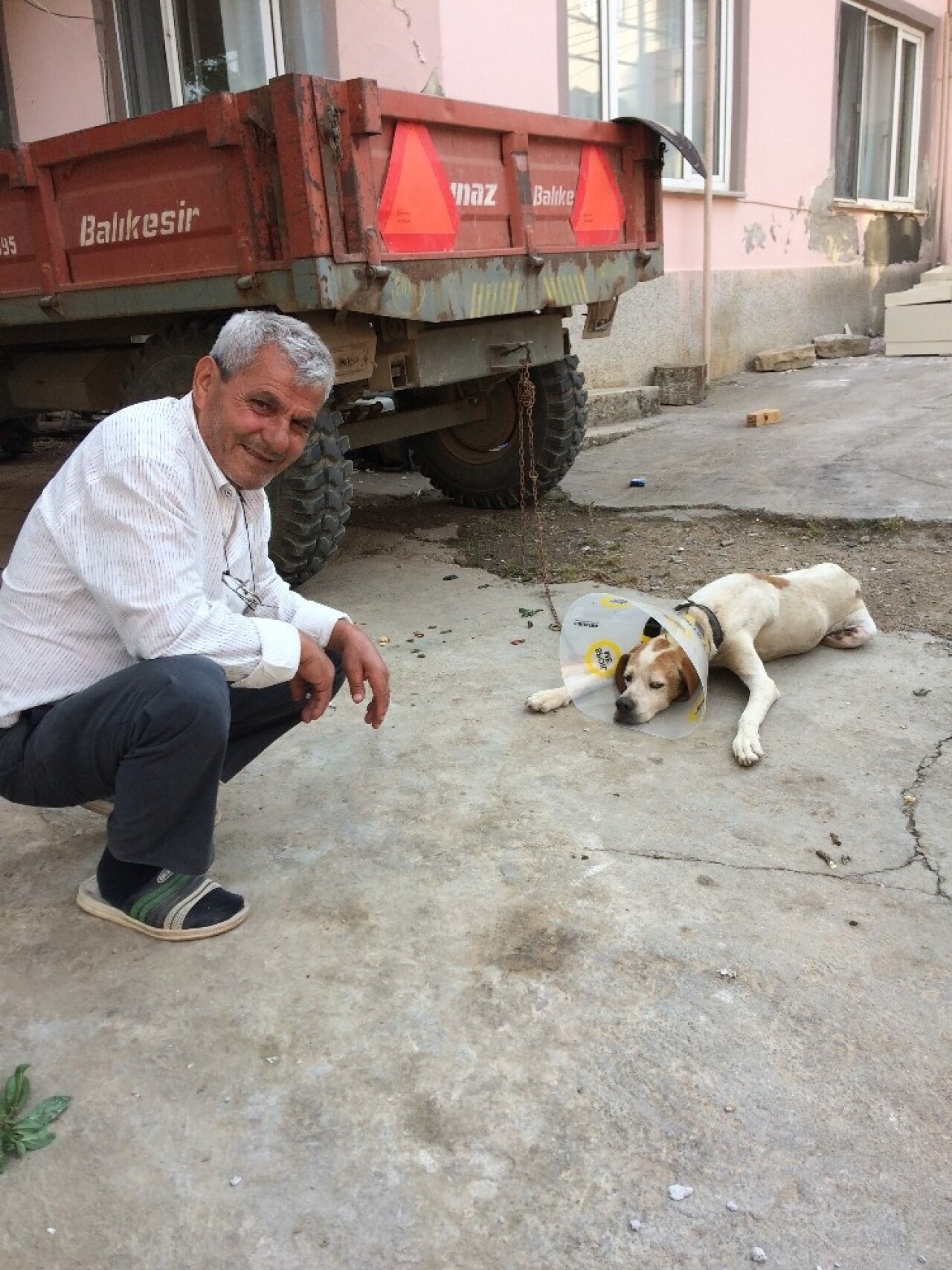 Kanser hastası köpek sağlığına kavuştu